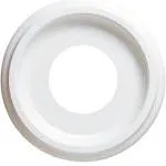 Westinghouse 77037 10 Inch Ceiling Medallion