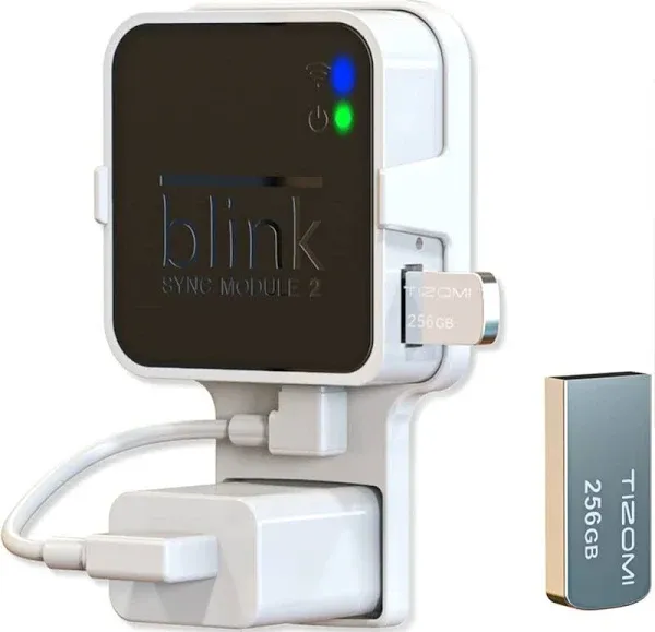 256GB Blink USB Flash Drive and Blink Sync Module 2 Mount, Space Saving and Eas