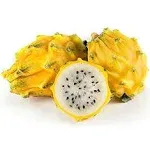 Fresh -GPS-Yellow Dragon Fruits (4 counts)