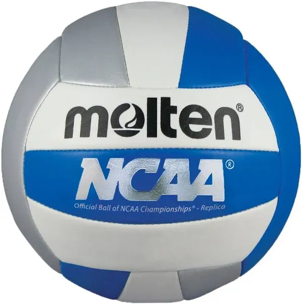 Molten Camp Volleyball