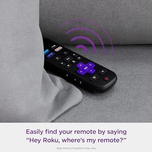 Roku Voice Remote Pro