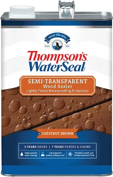 Thompsons Waterseal WaterSeal Transparent Waterproofing Stain