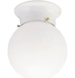 Westinghouse Ceiling Light Fixture