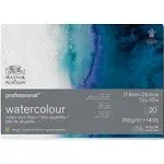 Winsor & Newton Professional Watercolor Paper Block, 7" x 10", Rough