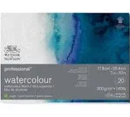 Winsor & Newton Professional Watercolor Paper Block, 7" x 10", Rough