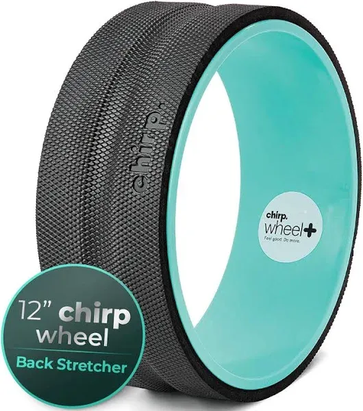 CHIRP Wheel + Focus Mint 4 Inch Neck Cervical Roller Wheel