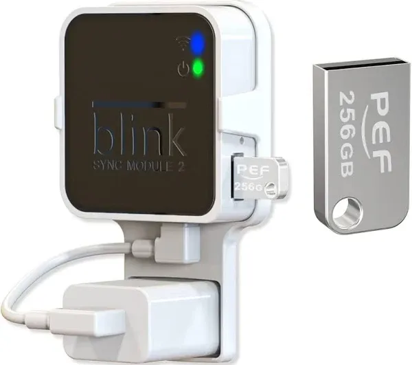 256GB Blink USB Flash Drive for Local Video Storage and The Outlet Mount for Blink Sync Module 2(Blink Add-On Sync Module 2 Itself Is Not Included)