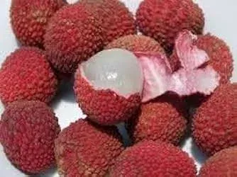 Fresh Lychee Fruit 2 Pounds