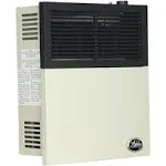 Ashley Hearth Products - 11,000 BTU Direct Vent Propane Heater