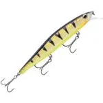 Rapala Precision Xtreme Mavrik 110 Jerkbait, Hot Perch