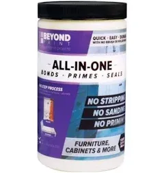 Beyond Paint BP12 All-in-One Refinishing Paint