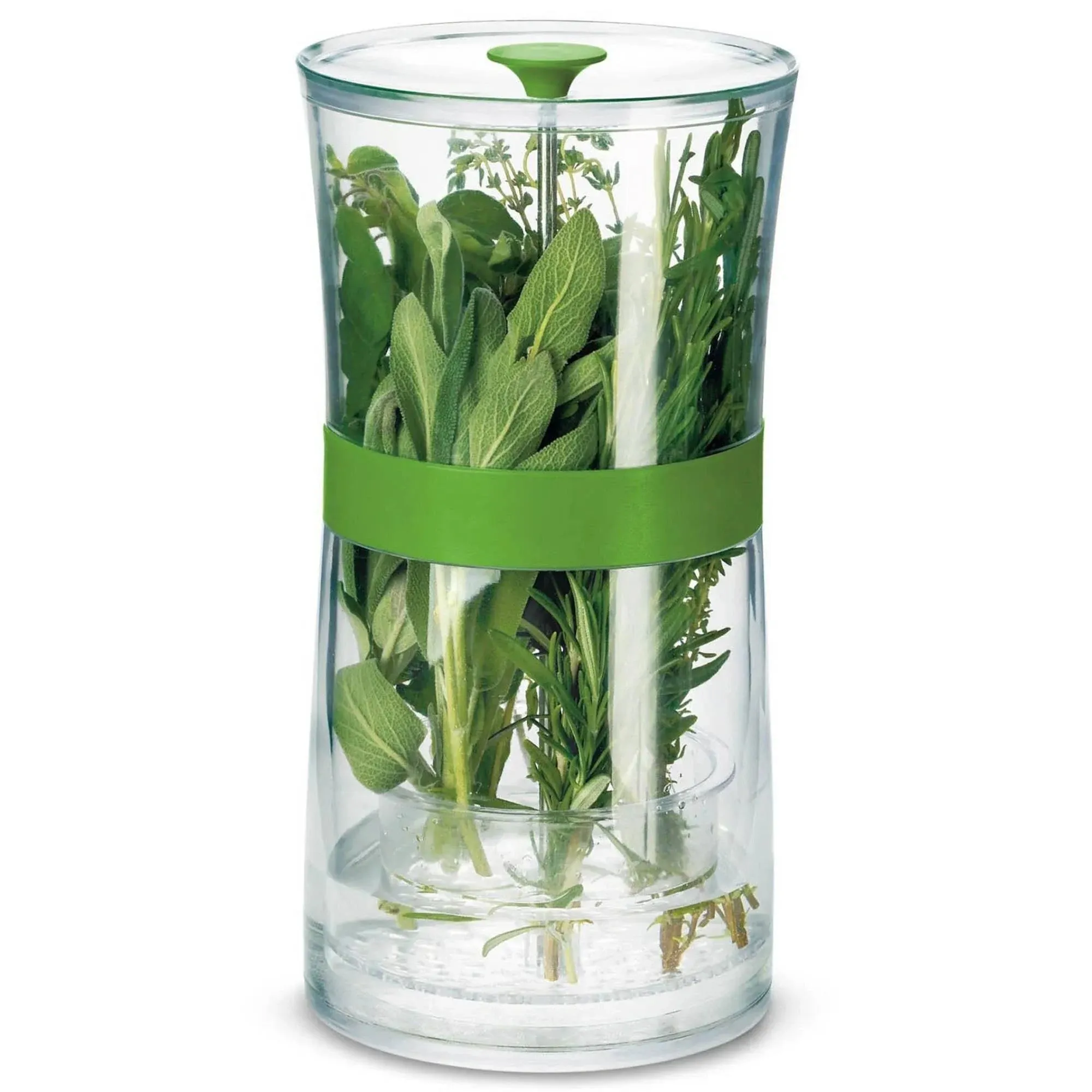 Cuisipro Herb Keeper, Large, Clear