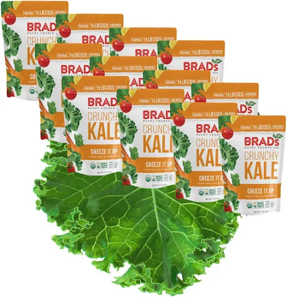 Brad's Plant Based Crunchy Kale Cheeze It Up