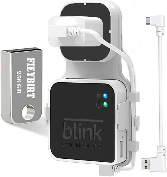 256GB USB Flash Drive & Outlet Mount for Blink Sync Module 2, Space Saving and Easy Move Mount Bracket Holder for Blink Outdoor Indoor Security System (Blink Sync Module 2 is NOT Included)