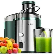 Loilat 500W Juicer