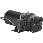 Wayne SWS50 - 1/2 HP Cast Iron Shallow Well Jet Pump