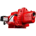 Red Lion Rjs-100-prem 602208 Premium Cast Iron Shallow Well Jet Pump