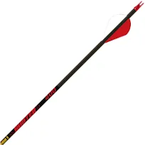 Gold Tip Arrows Hunter 300 Spine 2&#034; Raptor Vanes, (6pk)