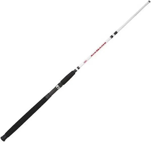 Berkley 6’6” Big Game Casting Rod, One Piece Nearshore / Offshore Rod Durable