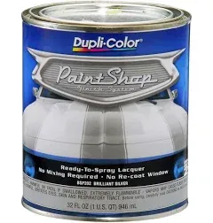 Duplicolor BSP202 Paint Shop Paint