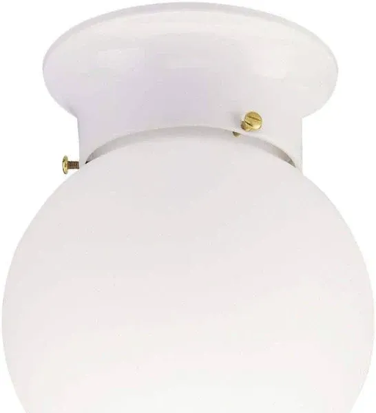 Westinghouse Ceiling Light Fixture