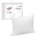 Better Down Downlike Luxurious Synthetic Down Hypoallergenic Pillow (1, Standard)