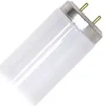 Sylvania Fluorescent Lamps - Full Spectrum, 48", 40 W, 5000 K, Medium Bipin, T12 - Case of 30 (24683)