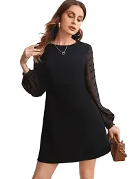 SweatyRocks Women's Elegant Mesh Contrast Long Sleeve A Line Mini Short Dress