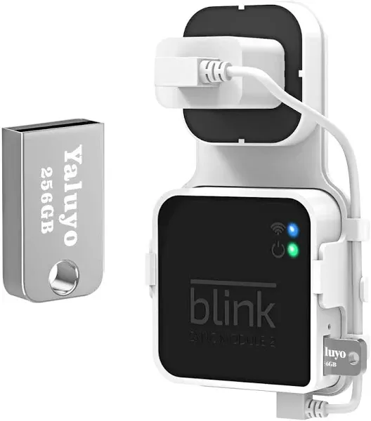 SENLEG 256GB Blink USB Flash Drive with Blink Sync Module 2 Mount