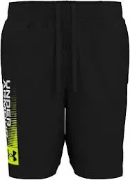 Under Armour Boys' Tech Wordmark Shorts