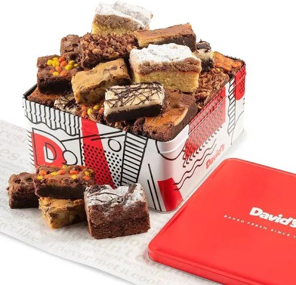 David's Cookies Assorted Brownies Gift Tin - 20 Slices of Individually Wrapped Gourmet Brownies - Delicious Variety of Flavors, Fresh Baked Snacks - Ideal Brownies Gift Basket For Special Occasions