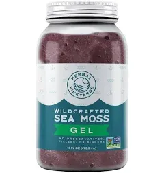 Herbal Vineyards Wildcrafted Irish Purple Sea Moss Gel - Made with Dried Seaweed & Fresh Sea Vegetables, Seamoss - Made in USA