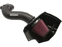 Roush Fits 2005-2009 Ford Mustang 4.6L V8 Cold Air Intake Kit