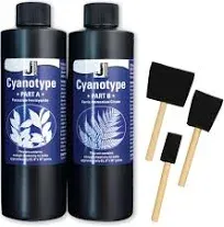 Positive Art Jacquard Cyanotype Kit, Cyanotype Chemicals Sensitizer Set for Photographic Blueprints on Paper and Fabric & More