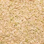 Lundberg Family Farms Organic Rice Brown Basmati - Single Bulk Item - 