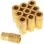 SUNGATOR 1/4-Inch Brass Female Industrial Coupler, 10-Pack NPT Female Quick Connect Air Coupler with Storage Case MGGFZ9B