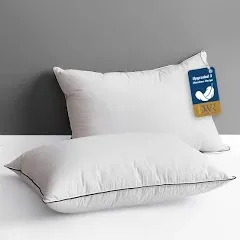 DWR Goose Feather Down Pillow for Sleeping Single Pack, Standard Size Organic Cotton Hotel-Style Bed Pillow Inserts, Soft Medium Pillow for Stomach and Back Sleeper (20x26,White)