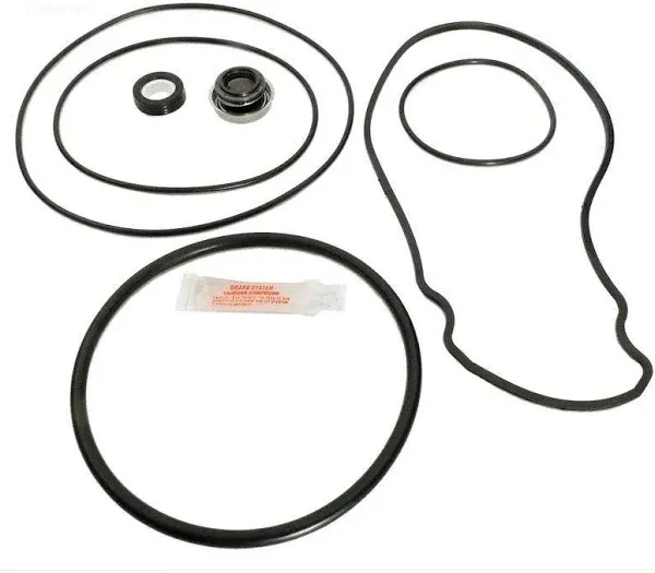 Epp APCK1027 Pentair WhisperFlo Pool Pump O-Ring Kit