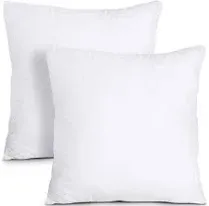 Throw Pillow Inserts (Pack of 2, White) Decorative Throw Pillows, Soft Plush Premium Throw Pillows for Couch Bad Sofa Bedroom Living Room and Dining Room (18"x 18", White)