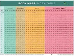 Nutrition Education Store BMI POSTER - BMI CHART POSTER - BODY MASS INDEX POSTER - 18" X 24" POSTER - LAMINATED