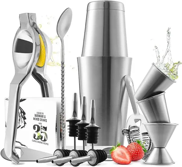 Bar Set Cocktail Shaker Set Stainless Steel Mixology Bartender Kit 16 Piece 