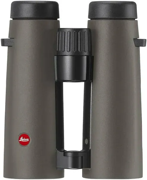 Leica Noctivid 10x42 Green Binocular 40387