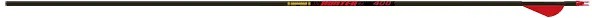 Gold Tip Hunter Arrows 300 Raptor Vanes 6 pk.