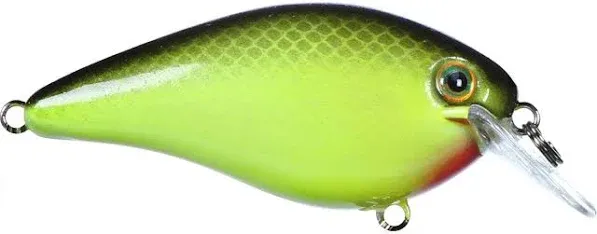 Strike King KVD 1.5 Square Bill Crankbait