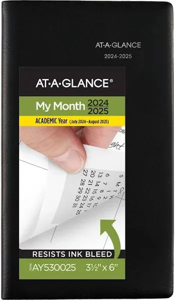 AT-A-GLANCE DayMinder Monthly Pocket Planner