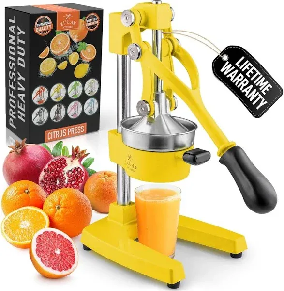 Heavy-Duty Manual Juice Press