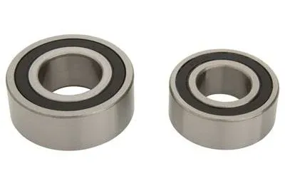 ALL BALLS Wheel Bearing Kit 25-1824