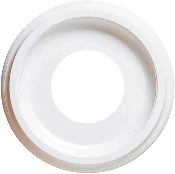 Westinghouse 77037 Ceiling Medallion, 10&#034;