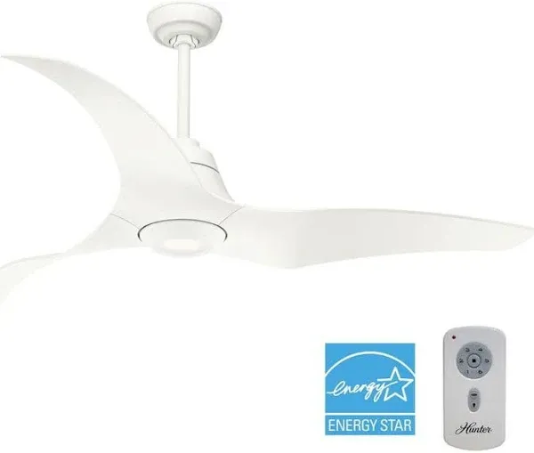 Hunter Arwen 60" Ceiling Fan