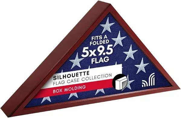 USA AMERICAN US FOLDED MEMORIAL FLAG TRIANGLE DISPLAY CASE BOX BURIAL CASKET 